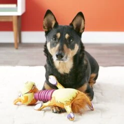 Fat Cat Rubber Neckers Squeaky Dog Toy, Color Varies -Dog Supplies Shop 84007 PT5. AC SS1800 V1531520583