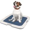 IRIS USA Non-skid Dog Plastic Training Pad Holder 2 IRIS USA Non-skid Dog Plastic Training Pad Holder -Dog Supplies Shop 846670 MAIN. AC SS1800 V1683834928