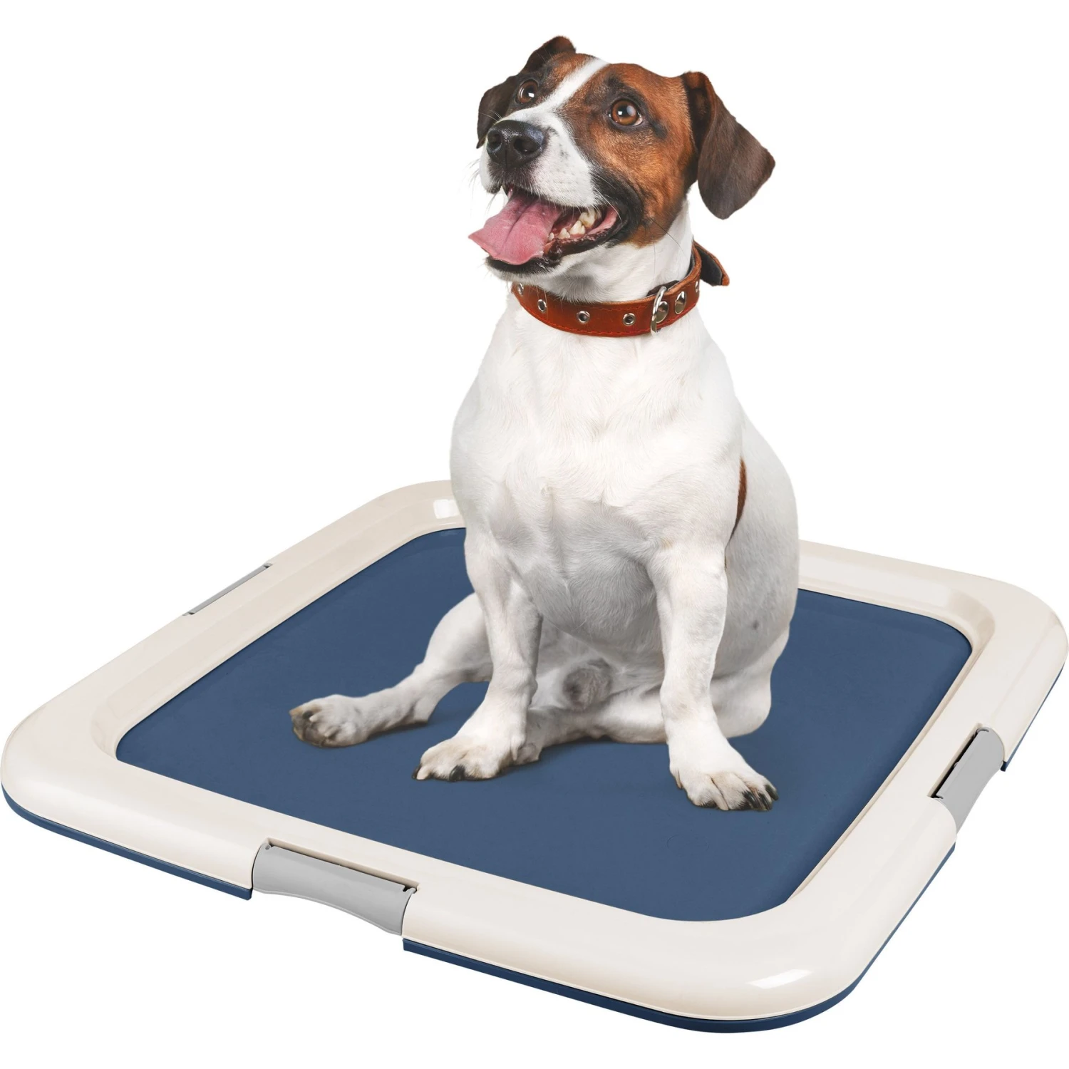 IRIS USA Non-skid Dog Plastic Training Pad Holder 3 IRIS USA Non-skid Dog Plastic Training Pad Holder