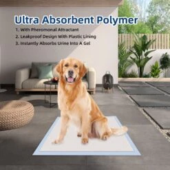 Honey Care All-Absorb Ultra Absorbent & Odor Eliminating Dog & Puppy Training Pads, 30-in X 36-in, 30 Count -Dog Supplies Shop 846726 PT3. AC SS1800 V1694720228