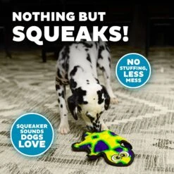 Outward Hound Invincibles Geckos Squeak Dog Toy -Dog Supplies Shop 85910 PT3. AC SS1800 V1636512218