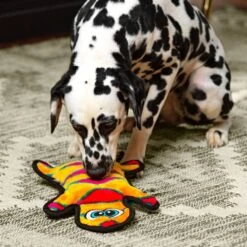 Outward Hound Invincibles Geckos Squeaky Stuffing-Free Plush Dog Toy 12 Outward Hound Invincibles Geckos Squeaky Stuffing-Free Plush Dog Toy -Dog Supplies Shop 85913 PT4. AC SS1800 V1636512722