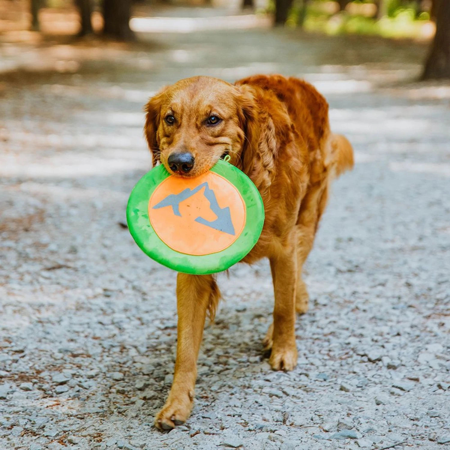 Hound2O Reflective Flyer Dog Toy 5 Hound2O Reflective Flyer Dog Toy - Image 3