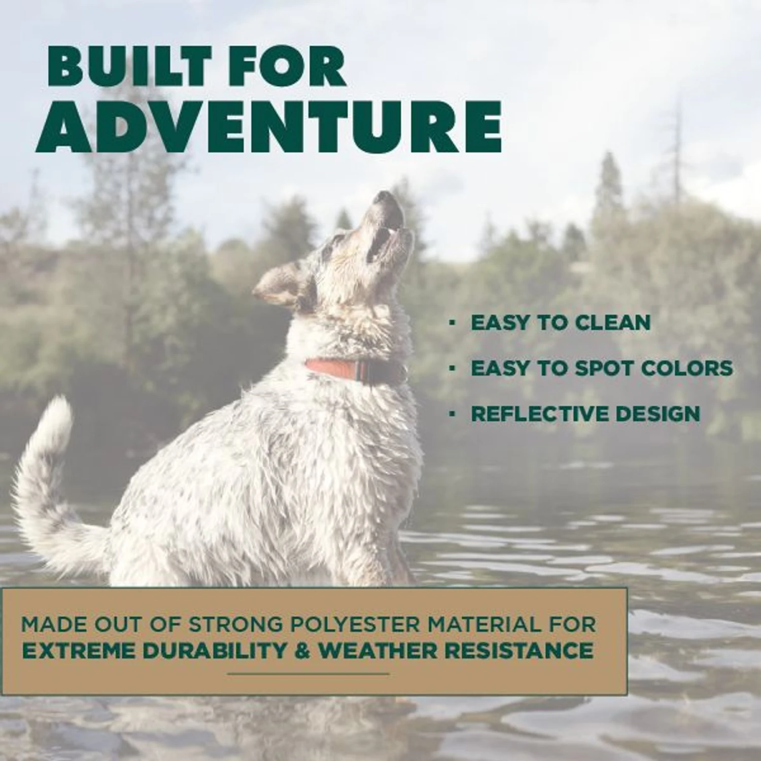 Hound2O Reflective Flyer Dog Toy 7 Hound2O Reflective Flyer Dog Toy - Image 5