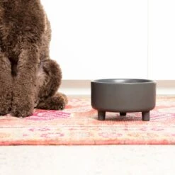 Waggo Uplift Elevated Ceramic Cat & Dog Bowl 12 Waggo Uplift Elevated Ceramic Cat & Dog Bowl -Dog Supplies Shop 889142 PT3. AC SS1800 V1698094193