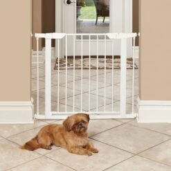 MidWest Steel Pet Gate