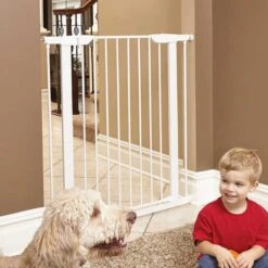 MidWest Steel Pet Gate -Dog Supplies Shop 89408 PT4. AC SS1800 V1679000407