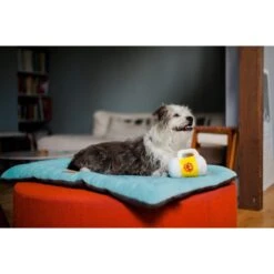 P.L.A.Y. Pet Lifestyle And You Hollywoof Cinema Collection Hoppy Hound Brew Plush Squeaky Dog Toy -Dog Supplies Shop 895950 PT3. AC SS1800 V1689961708