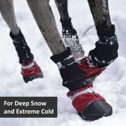 Muttluks Deluxe Winter Dog Boots With Waterproof Fabric, 4 Boots -Dog Supplies Shop 897774 PT2. AC SS1800 V1689797452