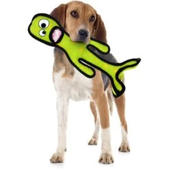 Tuffy's Alien G6 Plush Dog Toy -Dog Supplies Shop 90115 PT2. AC SS1800 V1589560625