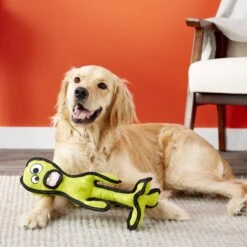 Tuffy's Alien G6 Plush Dog Toy -Dog Supplies Shop 90115 PT3. AC SS1800 V1589560631