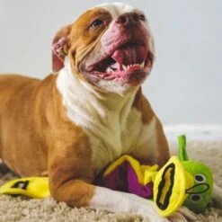 Snuggle Puppy Tender-Tuffs Tug Platypus Squeaky Dog Plush Toy, Purple, Large 14 Snuggle Puppy Tender-Tuffs Tug Platypus Squeaky Dog Plush Toy, Purple, Large -Dog Supplies Shop 913254 PT5. AC SS1800 V1689707813