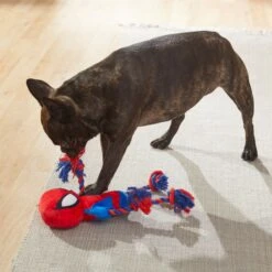 Marvel 's Captain America Plush With Rope Squeaky Dog Toy + 3 Items 17 Marvel 's Captain America Plush With Rope Squeaky Dog Toy + 3 Items -Dog Supplies Shop 929454 PT6. AC SS1800 V1690899555