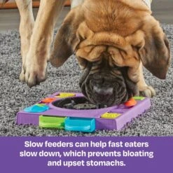 Brightkins DJ Doggo Puzzle Feeder Dog Toy 12 Brightkins DJ Doggo Puzzle Feeder Dog Toy -Dog Supplies Shop 930054 PT3. AC SS1800 V1698766697