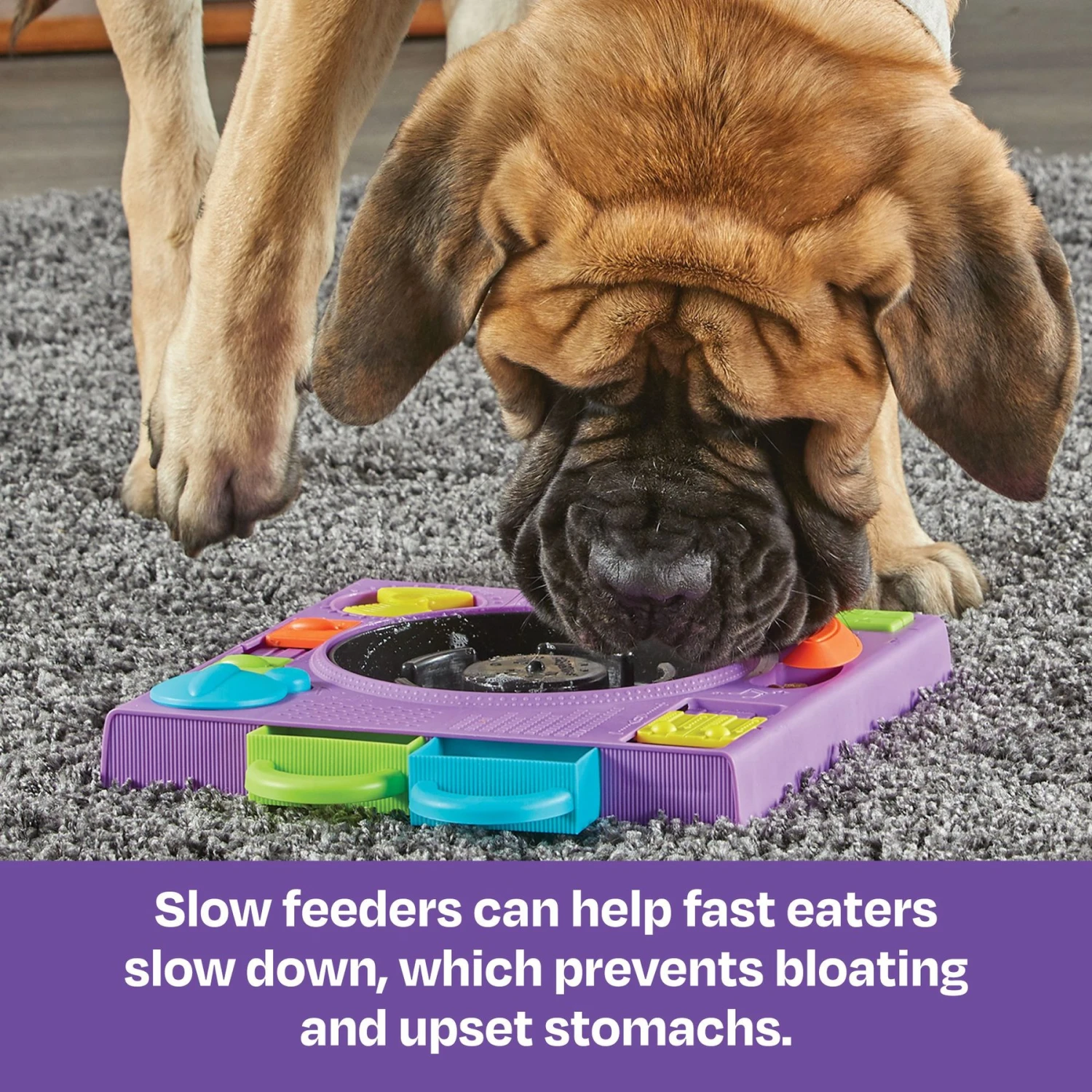 Brightkins DJ Doggo Puzzle Feeder Dog Toy 6 Brightkins DJ Doggo Puzzle Feeder Dog Toy - Image 4