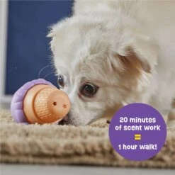 Brightkins Small Ice Cream Treat Dispenser Dog Toy -Dog Supplies Shop 930134 PT2. AC SS1800 V1698765995