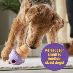 Brightkins Small Ice Cream Treat Dispenser Dog Toy -Dog Supplies Shop 930134 PT3. AC SS1800 V1698766048