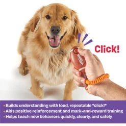 Brightkins Smarty Pooch! Training Clicker Football Dog Toy 10 Brightkins Smarty Pooch! Training Clicker Football Dog Toy -Dog Supplies Shop 930198 PT1. AC SS1800 V1698766722
