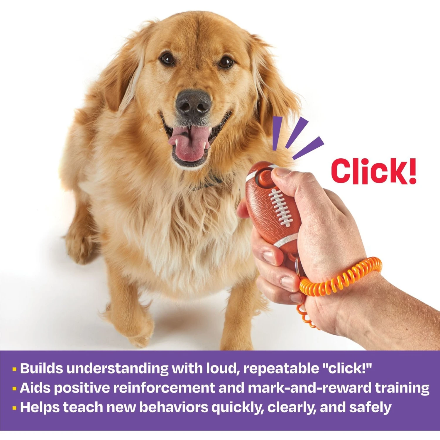 Brightkins Smarty Pooch! Training Clicker Football Dog Toy 4 Brightkins Smarty Pooch! Training Clicker Football Dog Toy - Image 2