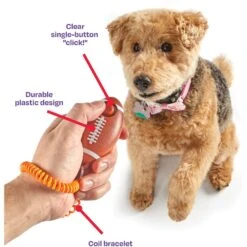 Brightkins Smarty Pooch! Training Clicker Football Dog Toy 12 Brightkins Smarty Pooch! Training Clicker Football Dog Toy -Dog Supplies Shop 930198 PT3. AC SS1800 V1698765996