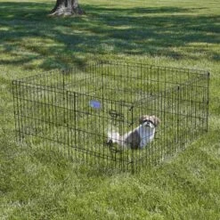 MidWest Wire Dog Exercise Pen With Step-Thru Door, Black E-Coat & MidWest Exercise Pen Top Fabric Mesh Sunscreen Accessory, Square Configuration, Black -Dog Supplies Shop 939350 PT4. AC SS1800 V1691785902