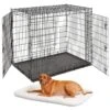 MidWest Solutions Series XX-Large Heavy Duty Double Door Wire Dog Crate, 54 Inch & MidWest Quiet Time Fleece Dog Crate Mat -Dog Supplies Shop 939374 MAIN. AC SS1800 V1691785954