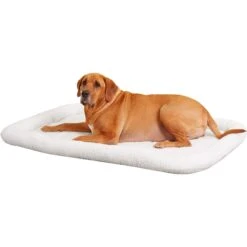 MidWest Solutions Series XX-Large Heavy Duty Double Door Wire Dog Crate, 54 Inch & MidWest Quiet Time Fleece Dog Crate Mat -Dog Supplies Shop 939374 PT5. AC SS1800 V1691785952