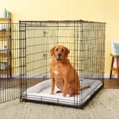 MidWest Solutions Series XX-Large Heavy Duty Double Door Wire Dog Crate, 54 Inch & MidWest Quiet Time Fleece Dog Crate Mat -Dog Supplies Shop 939374 PT8. AC SS1800 V1691785954
