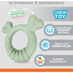 Nylabone Teething Ring Puppy Chew Toy, Green -Dog Supplies Shop 939846 PT1. AC SS1800 V1692110589