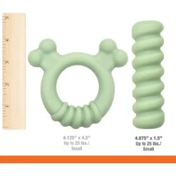 Nylabone Teething Ring Puppy Chew Toy, Green -Dog Supplies Shop 939846 PT3. AC SS1800 V1692111480