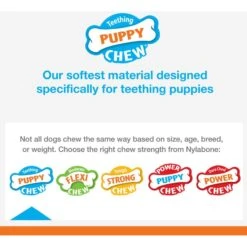 Nylabone Teething Ring Puppy Chew Toy, Green -Dog Supplies Shop 939846 PT5. AC SS1800 V1692110589