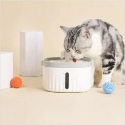 Hanamya Water Fountain Replacement Dog & Cat Filters, 4 Count -Dog Supplies Shop 954158 PT3. AC SS1800 V1694466046