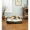 Snoozer Pet Products Poly/Cotton Cozy Cave Rectangle Dog & Cat Bed 2 Snoozer Pet Products Poly/Cotton Cozy Cave Rectangle Dog & Cat Bed -Dog Supplies Shop 955710 MAIN. AC SS1800 V1695056206
