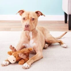 KONG Cozie Ali The Alligator Dog Toy + 2 Items 14 KONG Cozie Ali The Alligator Dog Toy + 2 Items -Dog Supplies Shop 971406 PT3. AC SS1800 V1696338621