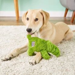 KONG Cozie Ali The Alligator Dog Toy + 2 Items 17 KONG Cozie Ali The Alligator Dog Toy + 2 Items -Dog Supplies Shop 971406 PT6. AC SS1800 V1696338677