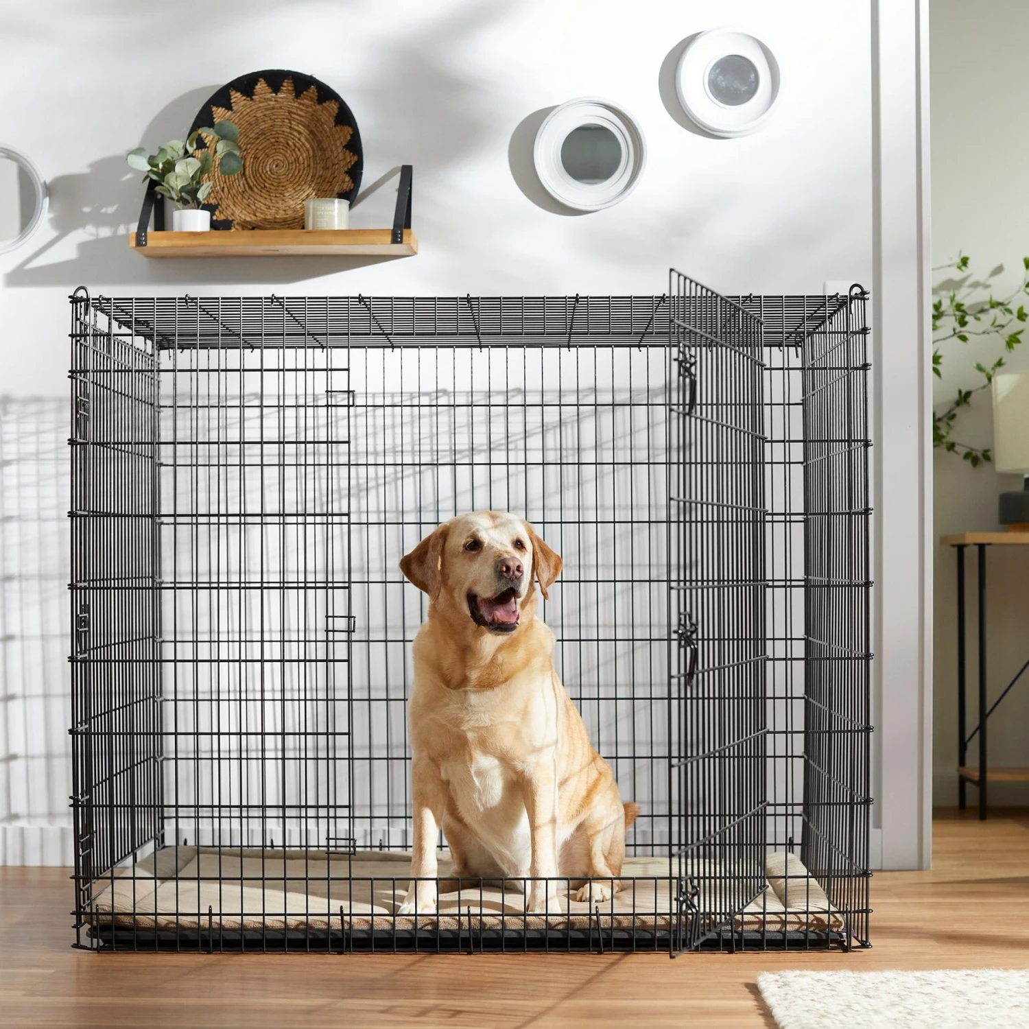 Frisco XX-Large Heavy Duty Double Door Wire Dog Crate, 54 Inch 3 Frisco XX-Large Heavy Duty Double Door Wire Dog Crate, 54 Inch