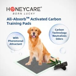 Honey Care All-Absorb Charcoal Carbon Eliminating Urine Odor Dog Training Pads, 22x23-in, 100 Count 9 Honey Care All-Absorb Charcoal Carbon Eliminating Urine Odor Dog Training Pads, 22x23-in, 100 Count -Dog Supplies Shop 982918 PT3. AC SS1800 V1697727170
