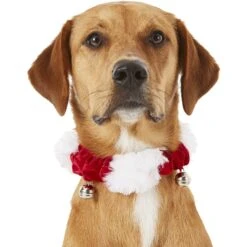 Frisco Holiday Dog & Cat Santa Hat, 1 Count & Frisco Jingle Bells Dog & Cat Holiday Collar With Bells, 1 Count -Dog Supplies Shop 986254 PT7. AC SS1800 V1698258115