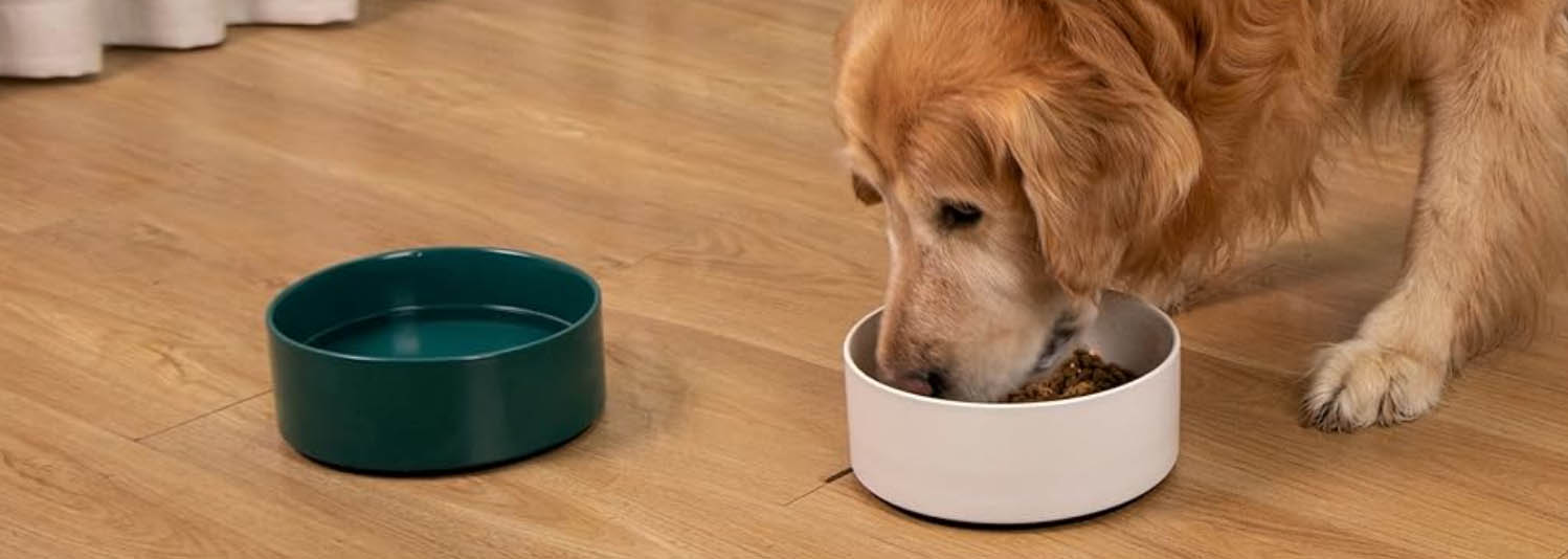 Dog Supplies Shop 3 Dog Supplies Shop -Dog Supplies Shop dfg