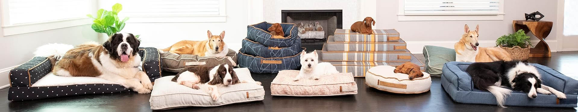 Dog Supplies Shop -Dog Supplies Shop hgjg